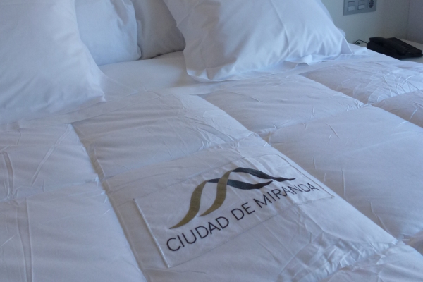 Hotel Ciudad de Miranda (Miranda de Ebro)